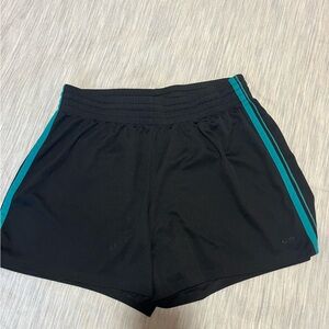 Champion ladies sport shorts size M.